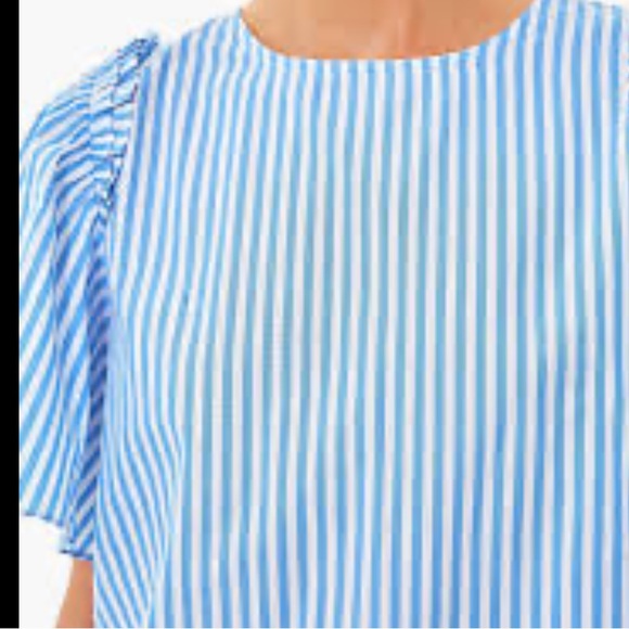 Pomander Place Tuckernuck Blue & White Striped Poplin Lightweight Ruffle Top S - Picture 3 of 14